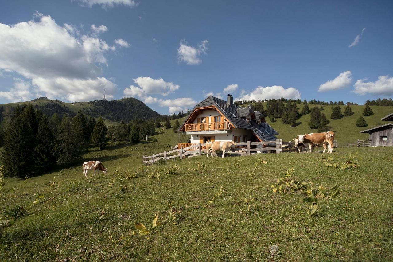 Apartment Jezerca - Krvavec Церклье-на-Гореньскем Экстерьер фото